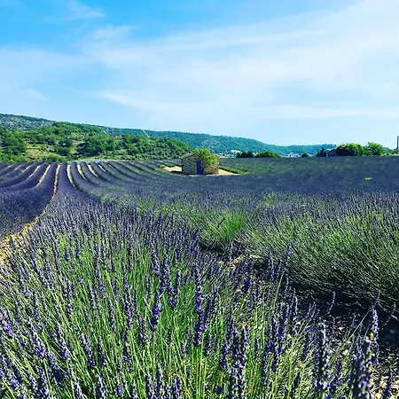 Le Moulin De La Viorne, Avec Piscine Au Coeur De La Nature En Haute-provence